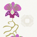 Orchids